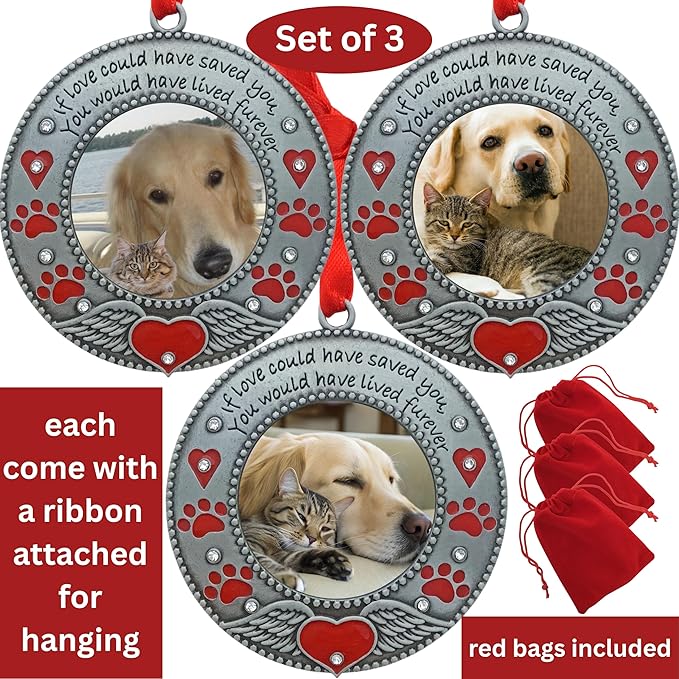 Pet Memorial Photo Ornament - Dog or Cat - Set of 3 - Enameled & Jeweled with Red Hearts, Angel Wings & Paw Prints - Gift/Storage Bag Included - 3" D and Holds a 2" D Photo