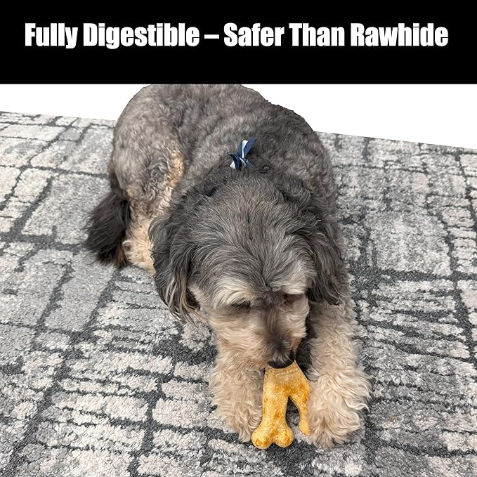 Fieldcrest Farms Nothin' to Hide Collagen-Based Dog Chews, Wishbone, Chicken Flavor, Ultra-Premium, for Dogs Over 50lbs, Easily Digestible, Supports Skin, Coat, Joints & Muscles, 7-Inch, 2 Pieces
