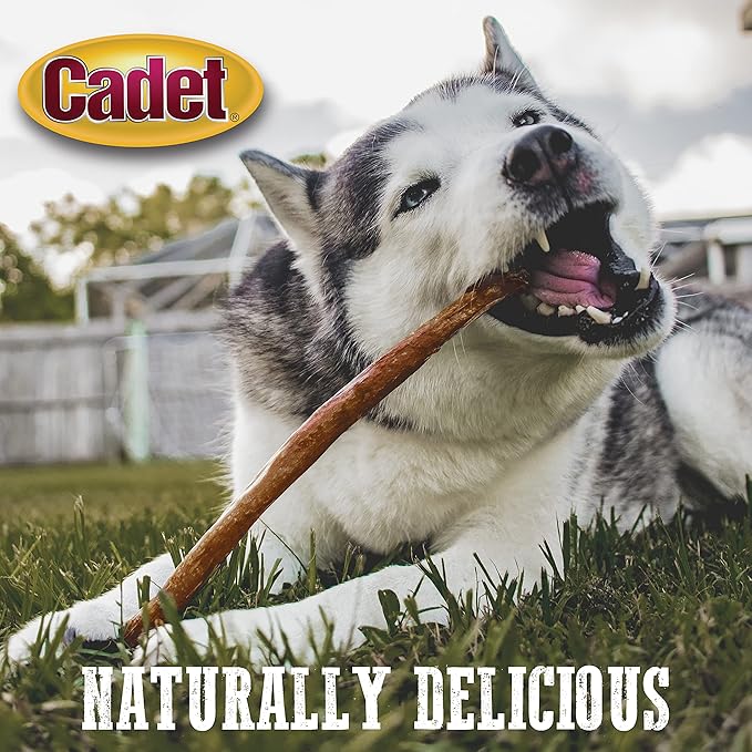 Cadet Bully Hide Sticks for Large Dogs, All-Natural Beef Pizzle, Limited-Ingredient Long-Lasting Dog Chews for Aggressive Chewers, 1 Count (Pack of 2)