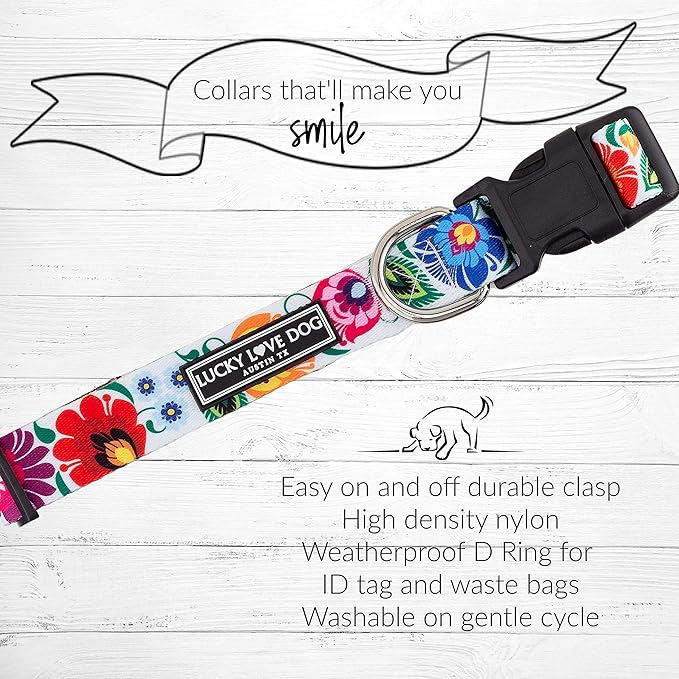 Lucky Love Dog - Easy Click Buckle Dog Collar with Leash Set Combo, Durable & Comfortable for Male & Female Dogs, Pet Collar for Large Dogs, Secure Fit - Ladybird Combo, Large