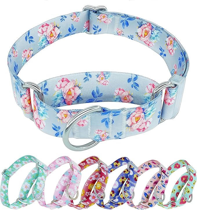 Martingale Dog Collar, Adjustable Soft No Pull Training Collar with No Buckle, Floral Pattern No Slip Martingale Collars for Large Dogs (1" Width L)
