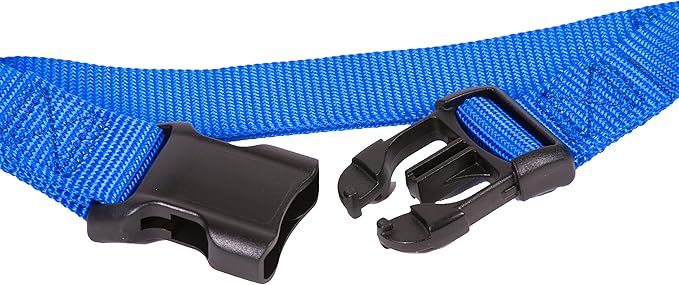 GOGO Pet Products 3/8-Inch Martingale Dog Collar, X-Small, Blue