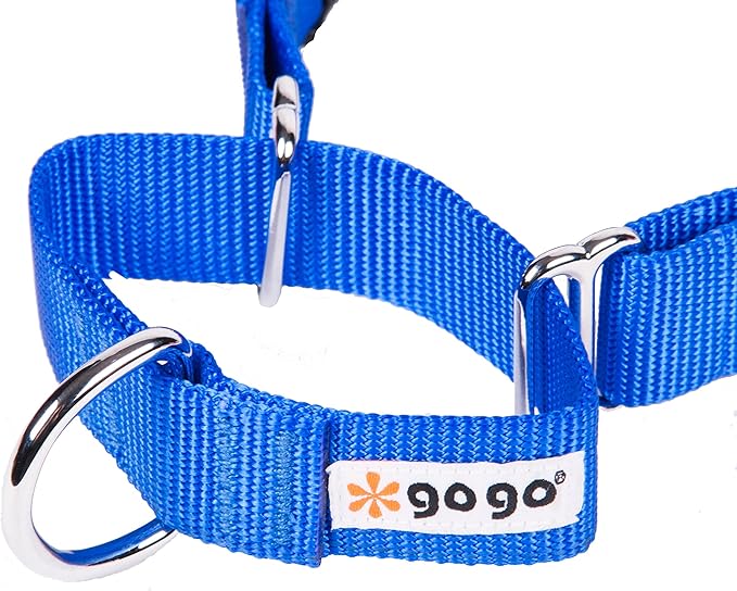 GOGO Pet Products 1-Inch Martingale Dog Collar, Large, Blue