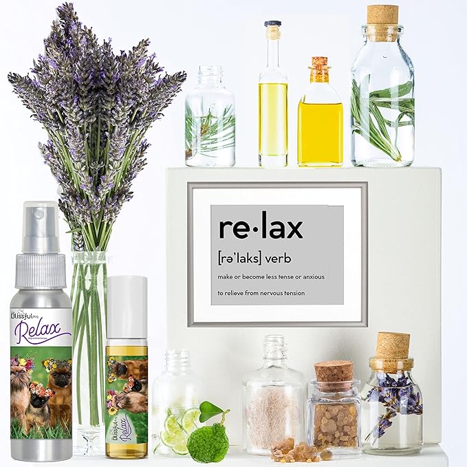 The Blissful Dog Brussels Griffon Dog Relax Roll-ON Aromatherapy for Dogs - Anxiety Relief for Dogs