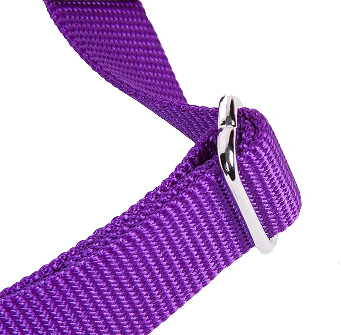 GOGO Pet Products 3/8-Inch Martingale Dog Collar, X-Small, Purple