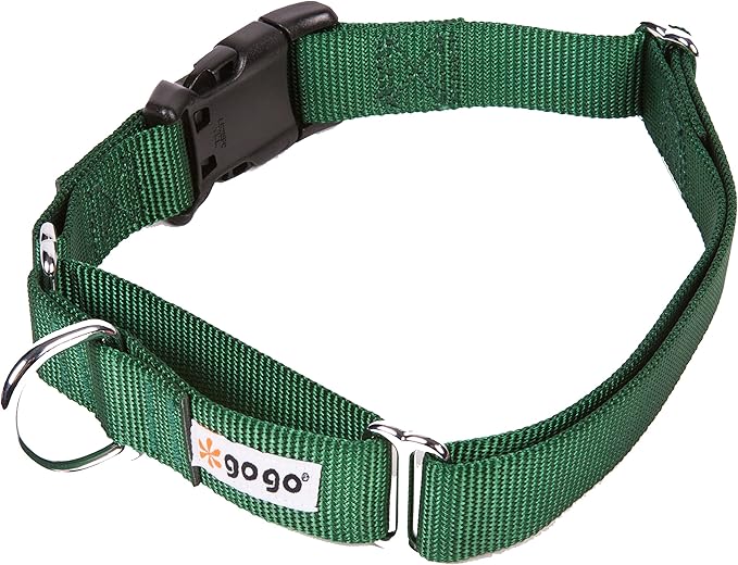 GOGO Pet Products 3/4-Inch Martingale Dog Collar, Medium, Hunter Green