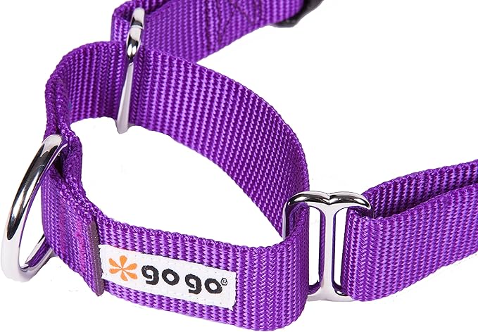 GOGO Pet Products 1-Inch Martingale Dog Collar, Large, Purple