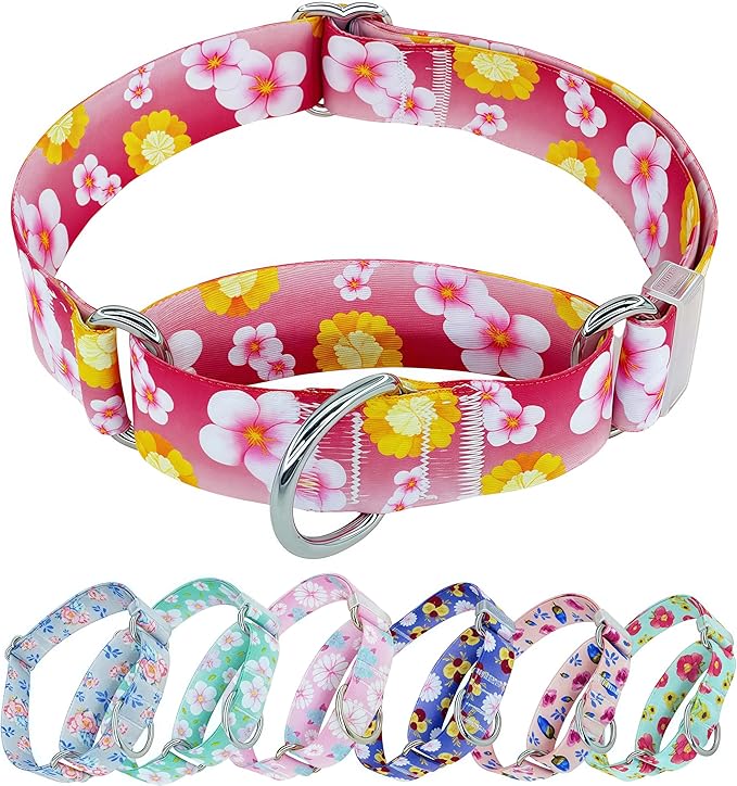 Martingale Dog Collar, Adjustable Soft No Pull Training Collar with No Buckle, Floral Pattern No Slip Martingale Collars for Large Dogs (1" Width L)