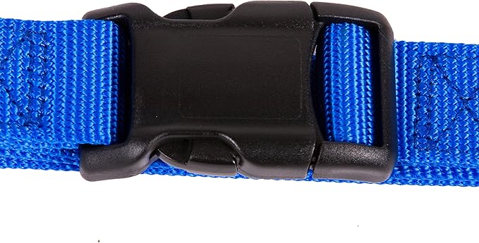 GOGO Pet Products 3/4-Inch Martingale Dog Collar, Medium, Blue