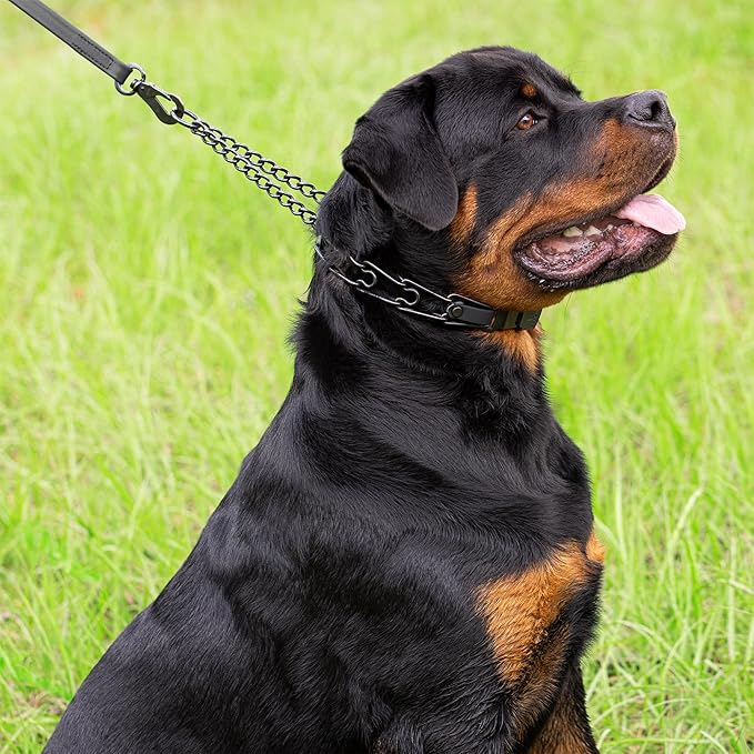 Herm Sprenger Black Stainless Steel Dog Collar with Quick Release ClicLock Buckle O-Ring Biothane Insert Training Collar Made in Germany (Black, 23in x 3.2mm(Neck Size up to19-20in))