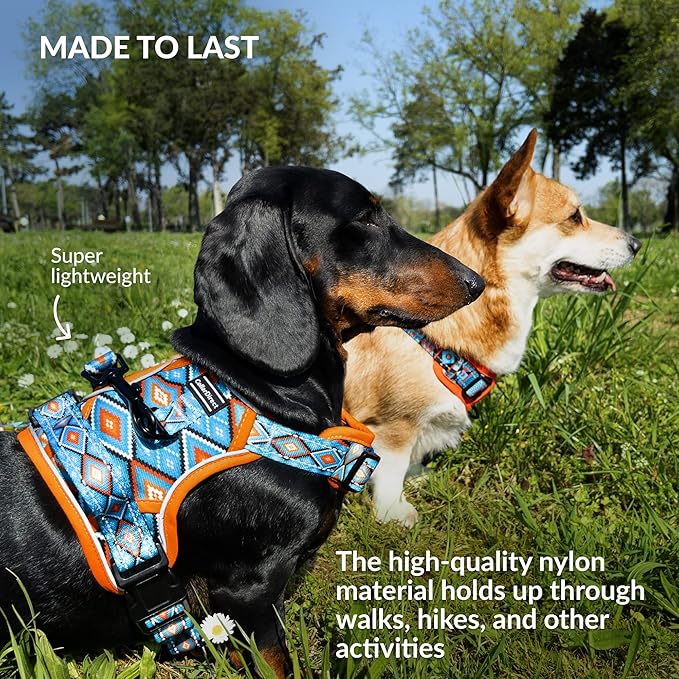 CollarDirect No Pull Reflective Dog Harness with Handle and Front Clip, Adjustible Soft Padded Vest for Small to Large Dogs Training and Walk (Size M, Pattern PT3)
