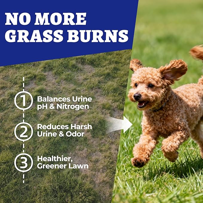 260 Bites Green Grass Bites for Dogs - Grass Savers for Dog Urine, Green Lawn Chews with Crabberry & Probiotic & Digestive Enzymes for Urinary Tract & Bladder - Chicken Flavor