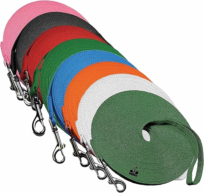 Downtown Pet Supply - Long Dog Leash - Dog Training Leash - Recall & Obedience Dog Training Tools - Nylon - 150 ft - Hunter Green Dog Leash