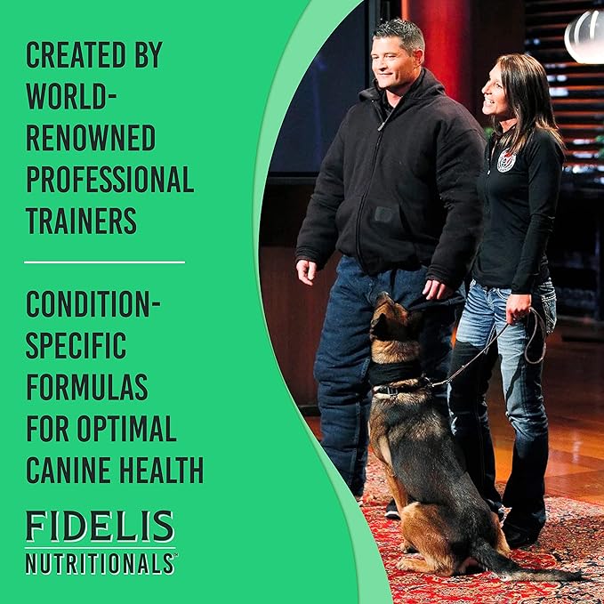 FIDELIS Joint Support Plus+ Hip & Joint Supplement for Dogs, Glucosamine for Dogs, Chondroitin Dog Treats, Vitamin C, Omega Fatty Acid, MSM, Adult, Big & Small, Made in USA, Duck Flavor, 60 Soft Chews
