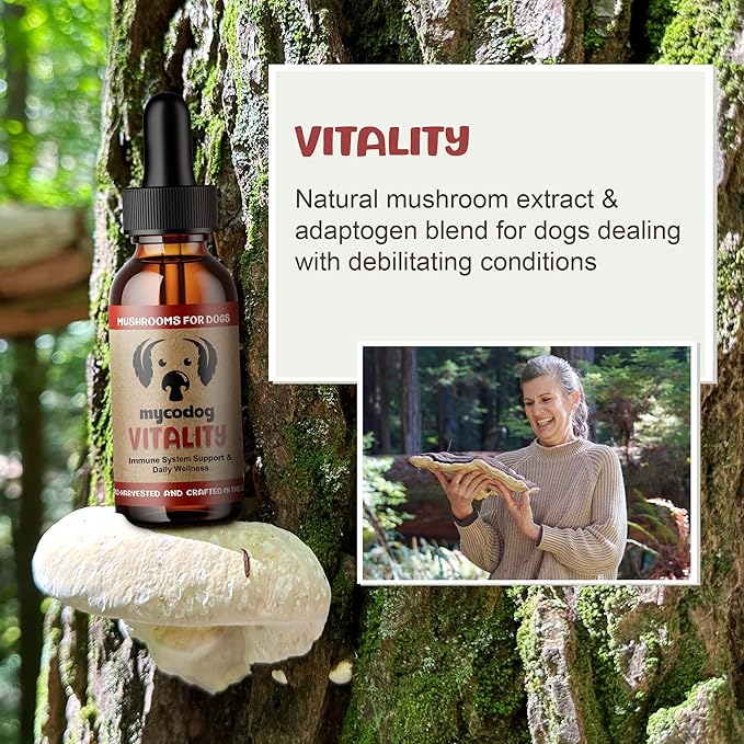 MycoDog Vitality - 20-in-1 Turkey Tail Mushroom for Dogs - Mushroom & Adaptogen Supplement for Senior Dogs - Supporting Immune Health & Daily Wellness - with Reishi, Chaga
