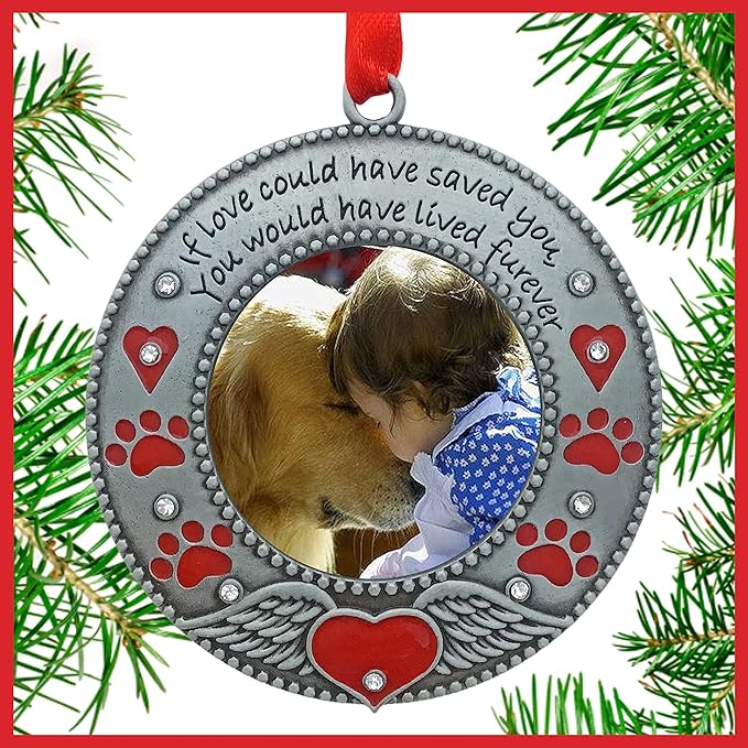 Pet Memorial Ornament - Custom Ornaments - Dog or Cat - Enameled & Jeweled with Red Hearts, Angel Wings & Paw Prints - Furever in My Heart - Gift Storage Bag Included - 3" D - Holds a 2" D Photo