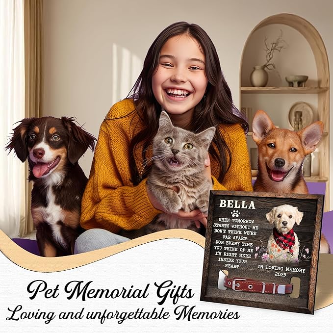Dog Memorial Frame with Collar Holder Personalized Dog Photo Display for Loss of Pet Pet Remembrance Shadow Box Gift 8" x 8" Maple Wood Frame Color: Without You