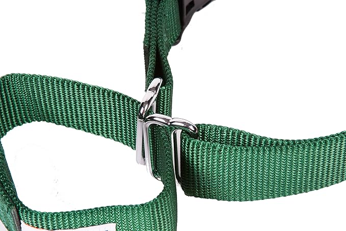 GOGO Pet Products 3/8-Inch Martingale Dog Collar, X-Small, Hunter Green