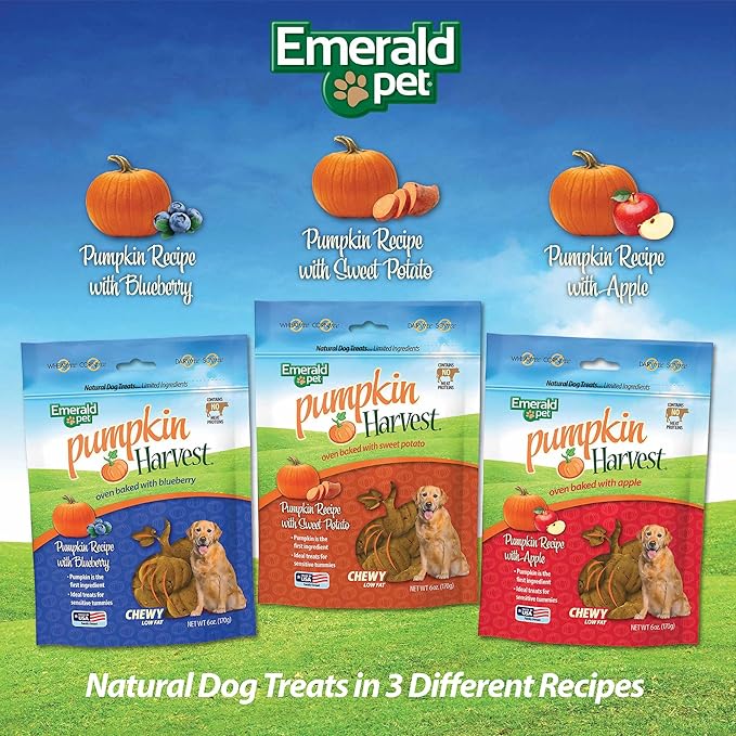 Emerald Pet Pumpkin Harvest Dog Treats - Low-Fat Chewy Natural Dog Treats with Pumpkin for Digestive Health - Meat Free, Wheat Free - Sweet Potato, 6 oz