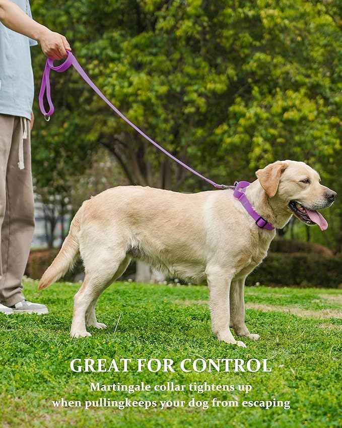 Waterproof Martingale Collar for Dogs,Easy to Clean Dog Collars with Safety Quick Release Buckle,Rubber Collar for Medium Large Dogs Walking Training (Purple, S (13.4-16.5inch))