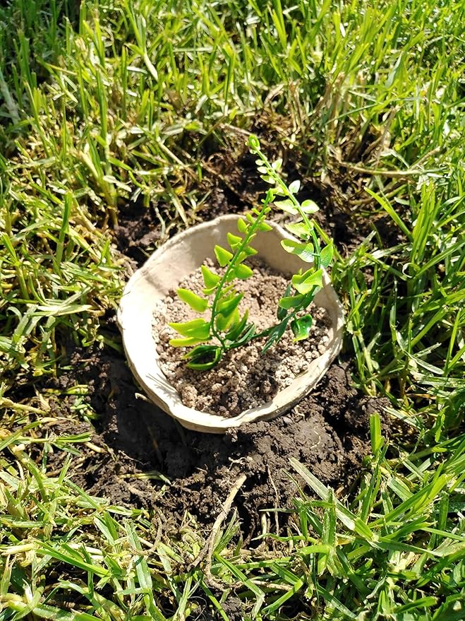 B Remembered Plantable Pet Ashes Urn - Eco-Friendly, 100% Biodegradable Molded Pulp,Grow a Memorial Plant(no Include the Seeds, is not a Neutralizer)