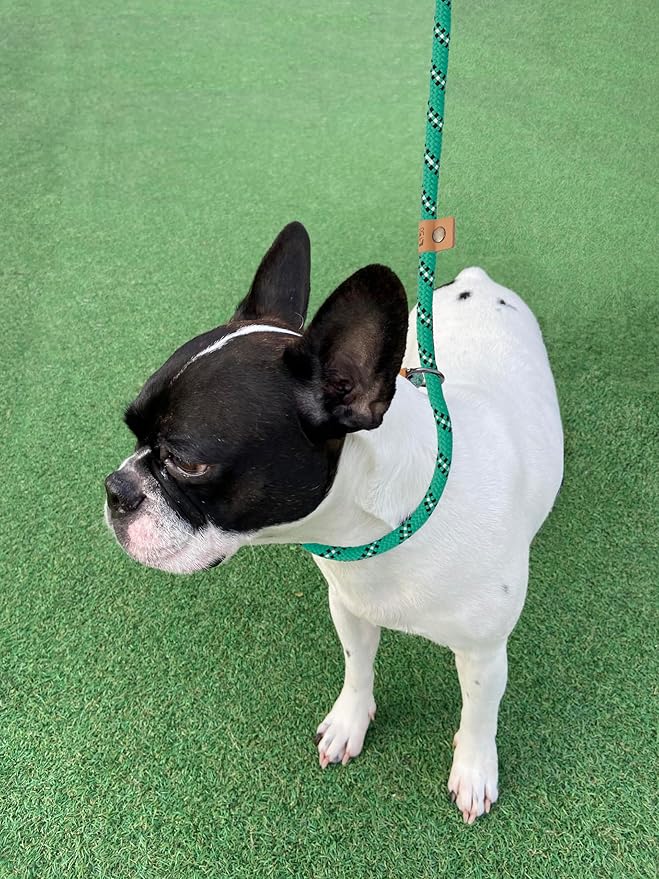 5 FT Slip Lead, Heavy Duty Rope Dog Leash for Small Medium Large Dogs, No Pull Training Lead with Reflective Thread, Strong Comfortable Loop Leash (Green Stripe, Medium(3/8"))