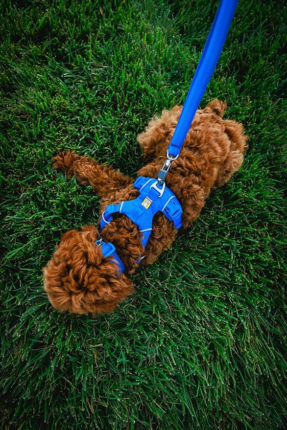 Ruffwear, Front Range Dog Collar, Adjustable Tubelok Webbing, Lightweight, Side Release Buckle, Aluminum V-Ring, Durable for Everyday Use, Coastal Fade, 20"-26"