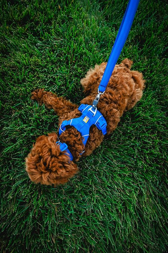Ruffwear, Front Range Dog Collar, Adjustable Tubelok Webbing, Lightweight, Side Release Buckle, Aluminum V-Ring, Durable for Everyday Use, Blue Pool, 11"-14"