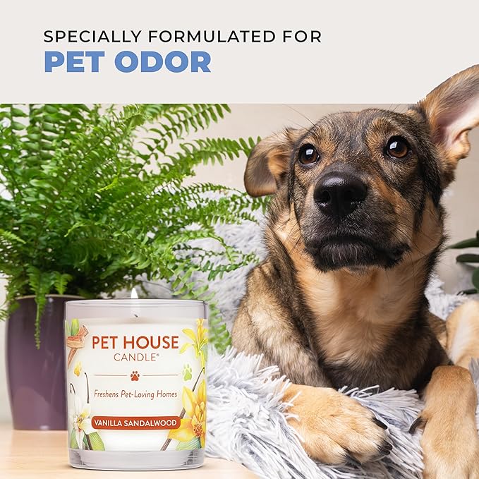Pet House Candles Plant Based Cookie Scented Candle Clean Burning, Long Lasting for Home, Sugar Cookies