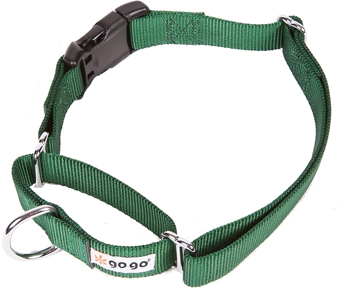 GOGO Pet Products 3/8-Inch Martingale Dog Collar, X-Small, Hunter Green