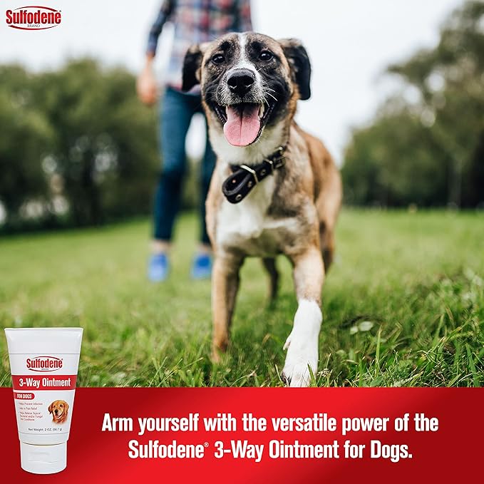 DOGSWELL Remedy + Recovery Hydrocortisone Lotion for Dogs (4 oz.) and Farnam Sulfodene Dog Wound Care Ointment (2 oz.)