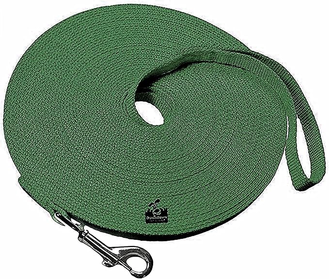 Downtown Pet Supply - Long Dog Leash - Dog Training Leash - Recall & Obedience Dog Training Tools - Nylon - 150 ft - Hunter Green Dog Leash