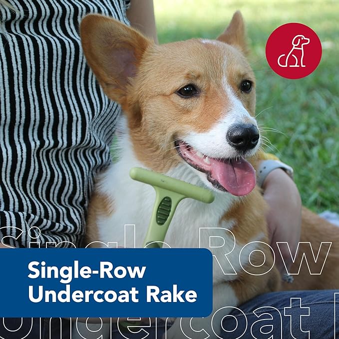 Coastal Pet Safari Double Row Undercoat Rake - Gentle Dematting and Deshedding Grooming Comb for Dogs