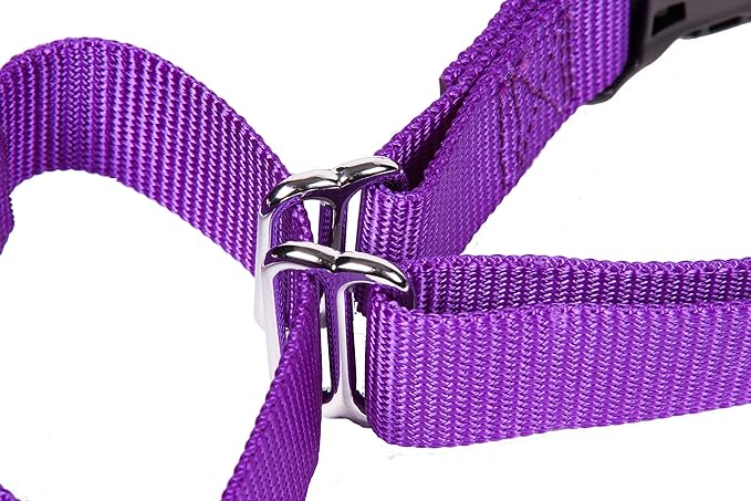GOGO Pet Products 3/4-Inch Martingale Dog Collar, Medium, Purple
