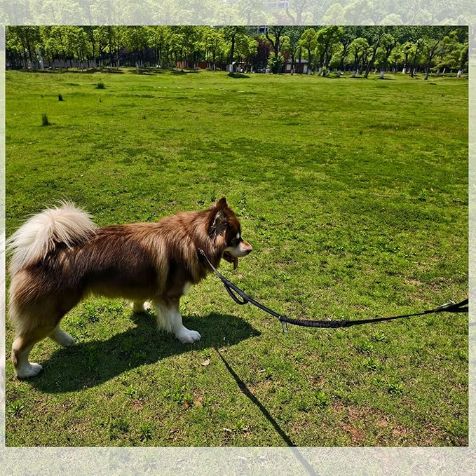 5FT Double Handle Tactical Dog Leash with Shock Absorption, Reflective Heavy Duty Bungee Dog Leash for Medium Large Dogs that Pull, Daily Walking Training, Black