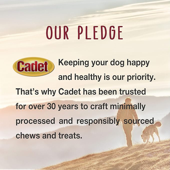 Cadet Gourmet 8-Inch Beef Hide Twist Chew Sticks, Long-Lasting and Natural Rawhide Chews for Dogs, Inspected & Tested in USA, Chicken Flavor, 6 Count