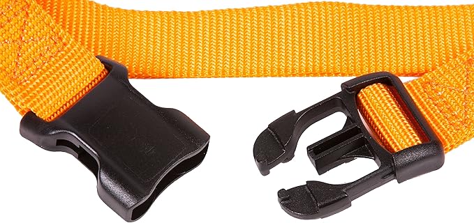 GOGO Pet Products 5/8-Inch Martingale Dog Collar, Small, Orange
