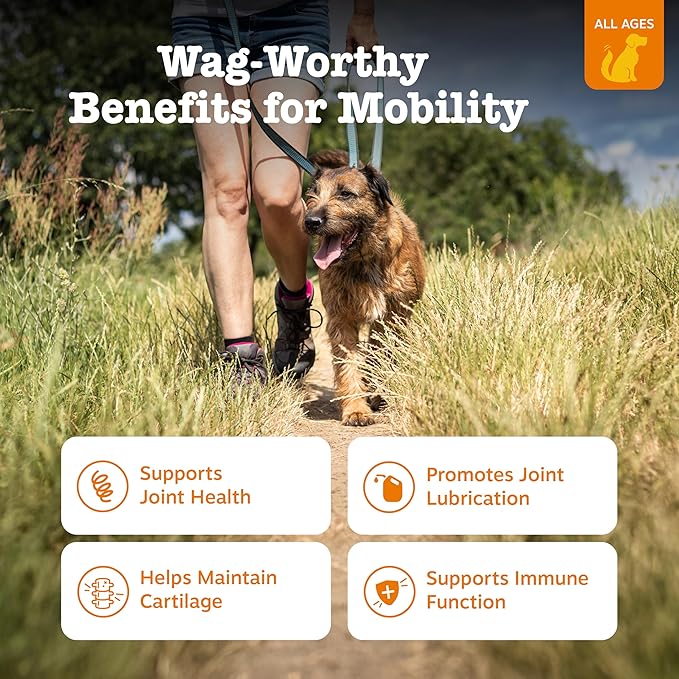 Zesty Paws Mobility Bites Joint Supplement for Dogs - Soft Chews with Glucosamine for Dogs, Chondroitin, & MSM + Vitamins C and E - Hemp - Chicken - 90ct