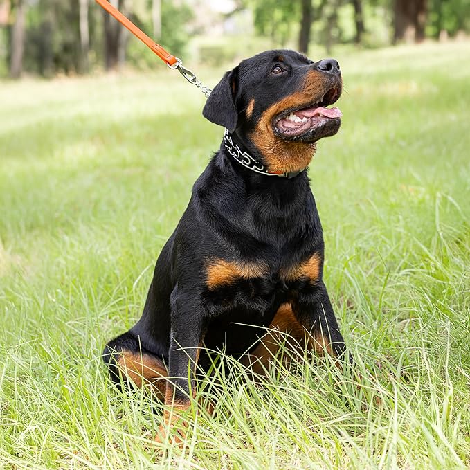 Herm Sprenger Chrome Plated Steel Dog Collar with Short Links and Quick Release ClicLock Buckle and Biothane Insert Made in Germany 20in x 3.0mm (Neck Size up to 16-17in) (Hunter Orange)