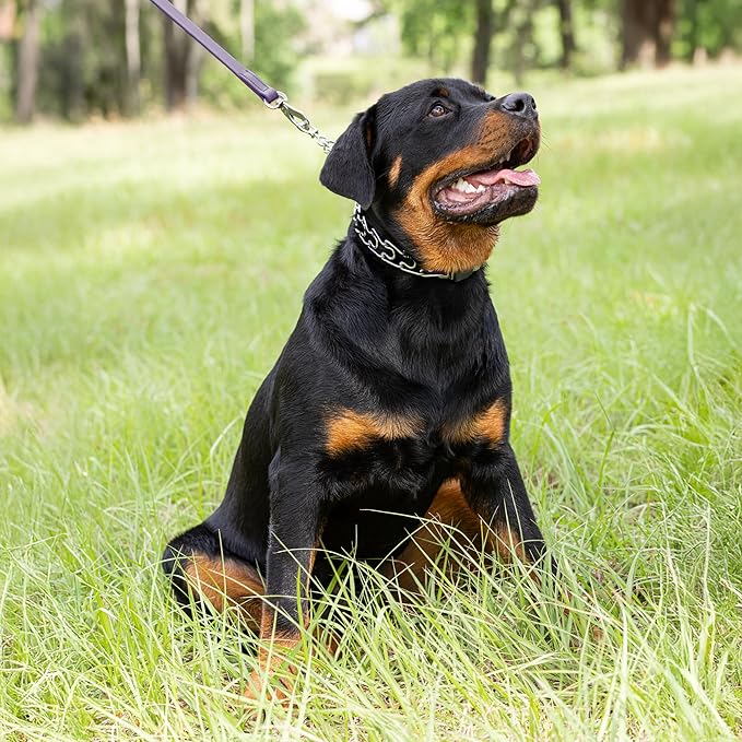 Herm Sprenger Chrome Plated Steel Dog Collar with Short Links and Quick Release ClicLock Buckle and Biothane Insert Made in Germany 20in x 3.0mm (Neck Size up to 16-17in) (Violet Purple)
