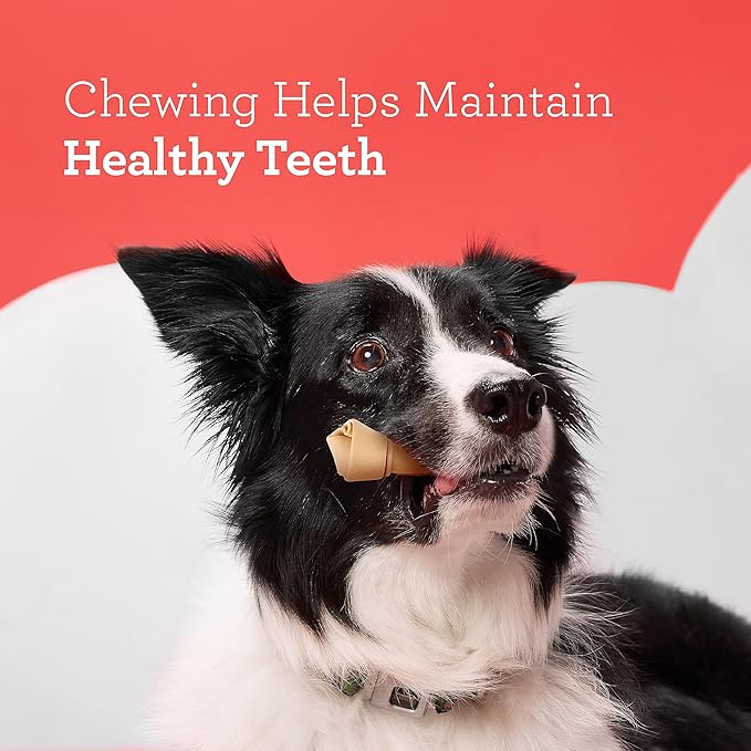 DreamBone Vegetable & Chicken Dog Chews,Rawhide Free,Small,10-Count,(Pack of 2)