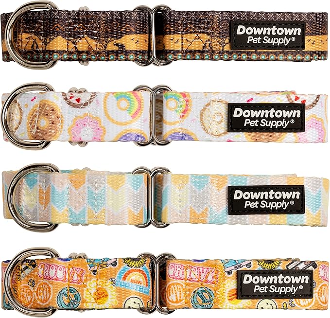 Downtown Pet Supply - Martingale Collar for Dogs - Big, Wide & Thick - Escape-Proof, Weatherproof, Durable & Comfortable - Sahara - Medium