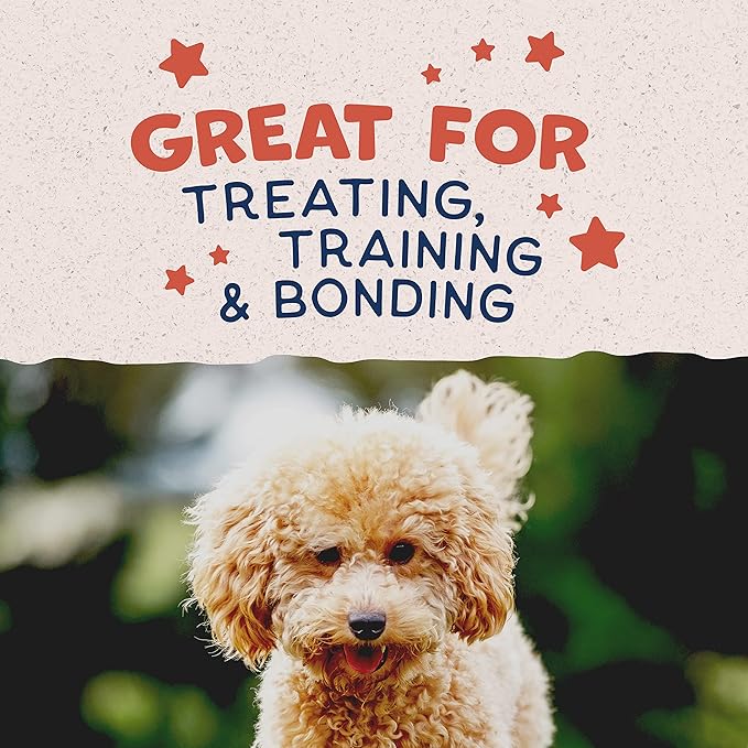 Natural Balance Limited Ingredient Mini-Rewards Salmon Grain-Free Dog Training Treats for Dogs | 5.3 Ounce Canister