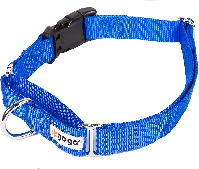 GOGO Pet Products 3/8-Inch Martingale Dog Collar, X-Small, Blue