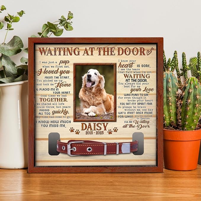 Custom Dog Collar Frame Memorial – Pet Loss Shadow Box with Photo and Collar Slot – Dogs Remembrance Gift for Passing Away – RIP Dog Tribute Display