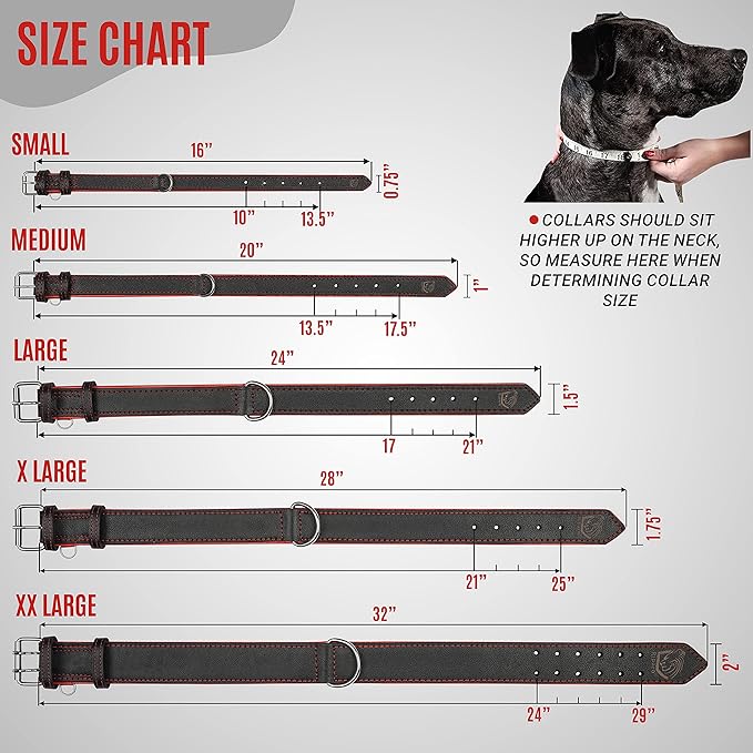 Riparo Dog Collars for Medium Dogs, Genuine Leather Dog Collar, Medium Dog Collar (M: 1" Wide for 13.5”-17.5” Neck, Black/Red Thread)