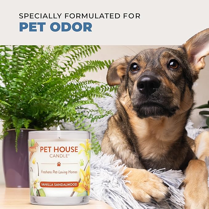 Pet House Pet Odor Candle Plant Based Hot Chocolate Candle Clean Burning, Long Lasting for Home, Hot Cocoa 2 Pack