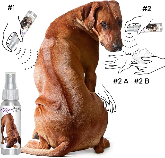 The Blissful Dog Phodesian Ridgeback Relax Dog Aromatherapy Spray for Your Dog's Anxiety