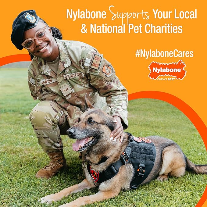 Nylabone Healthy Edibles Wild Natural Dog Chews,Long Lasting Bones for Dogs,Bison Flavor Dog Treats,Medium,2 Count (Pack of 2)