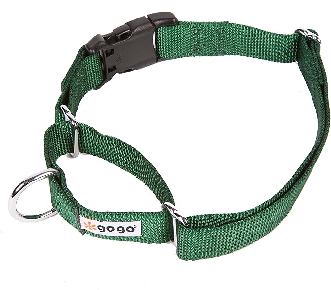 GOGO Pet Products 5/8-Inch Martingale Dog Collar, Small, Hunter Green
